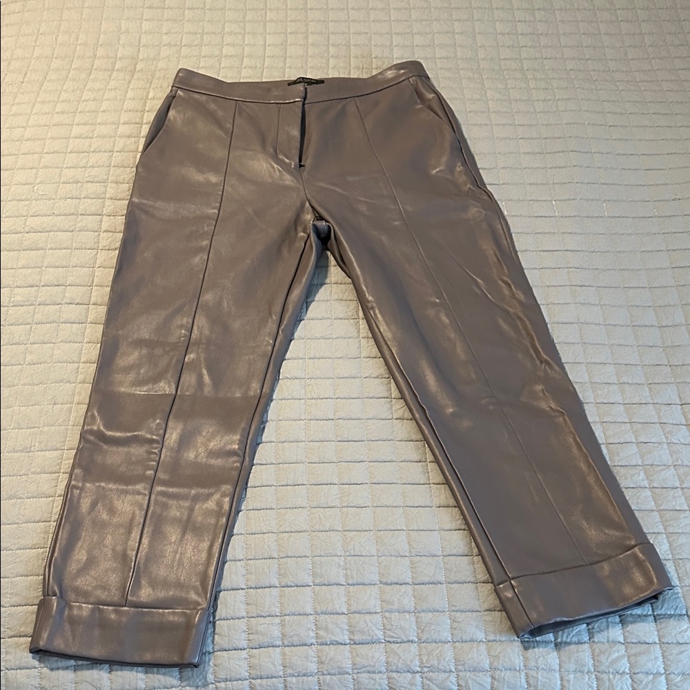 Ann Taylor Women's Gray/ Plum leather imitation Pants